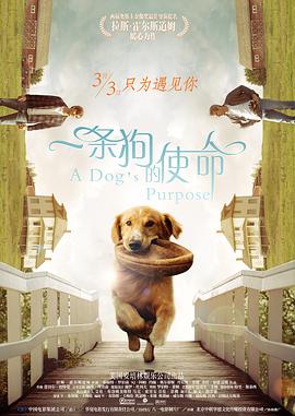 在线免费观看av电影
