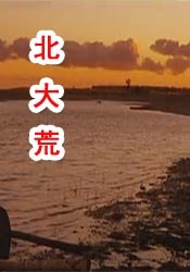 www.avhd101.com